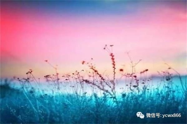 1588214918228097.jpg 微信圖片_20200430104816.jpg